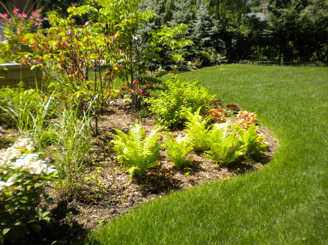 Tree & Shrub Trimming | Choice Cut Landscaping Chicagoland